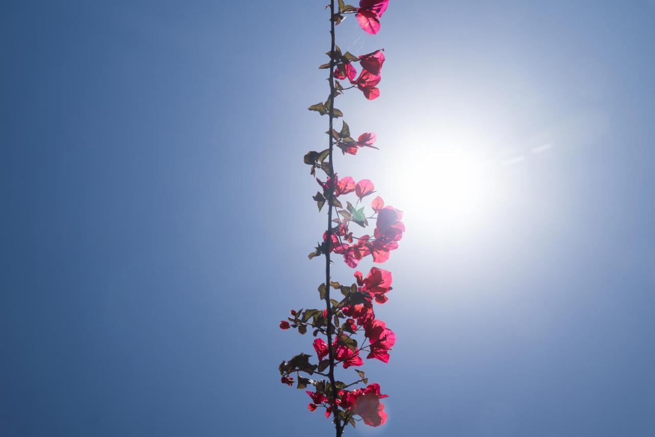 Aroma Séjour à la campagne Lakíthra