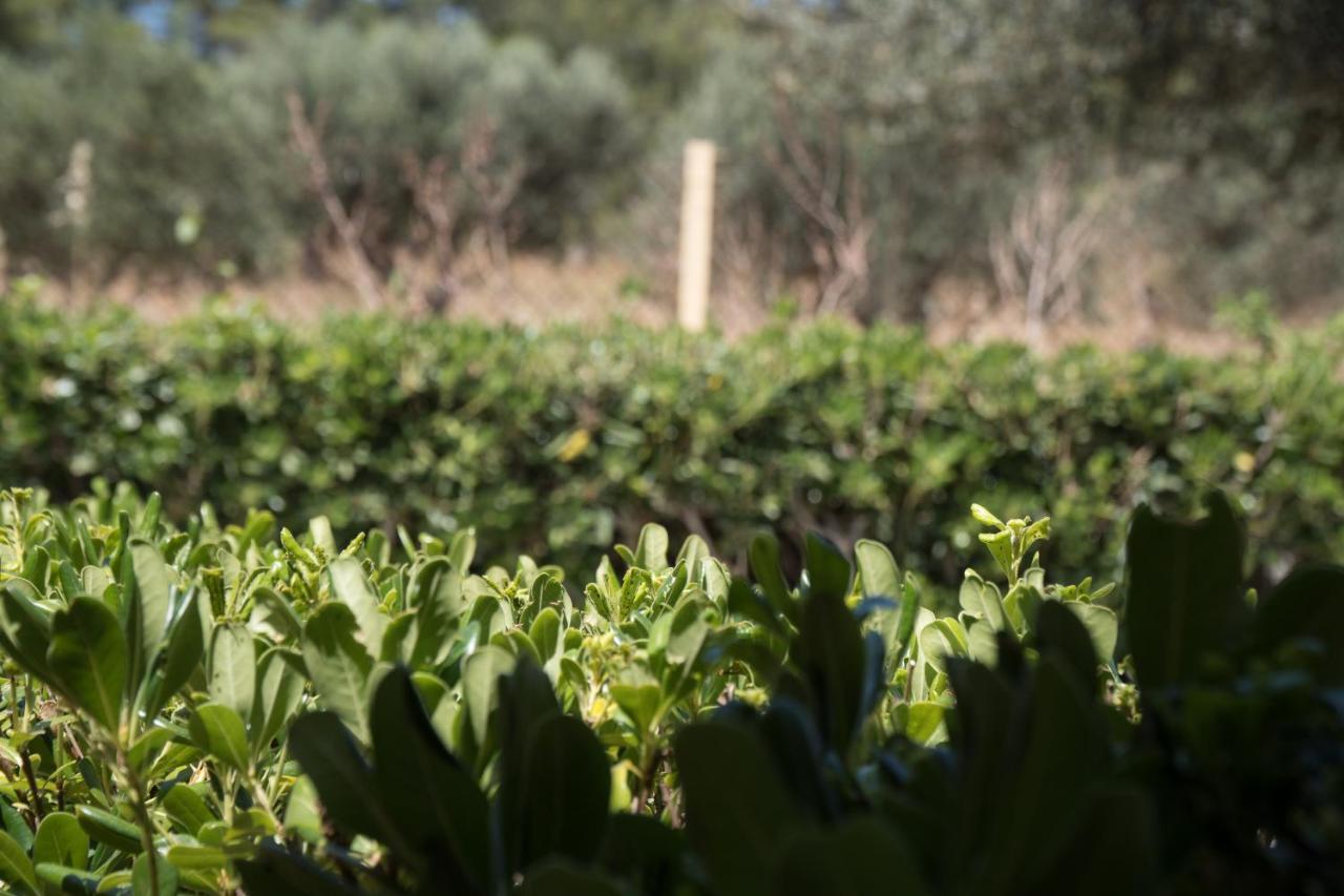 Aroma Séjour à la campagne Lakíthra